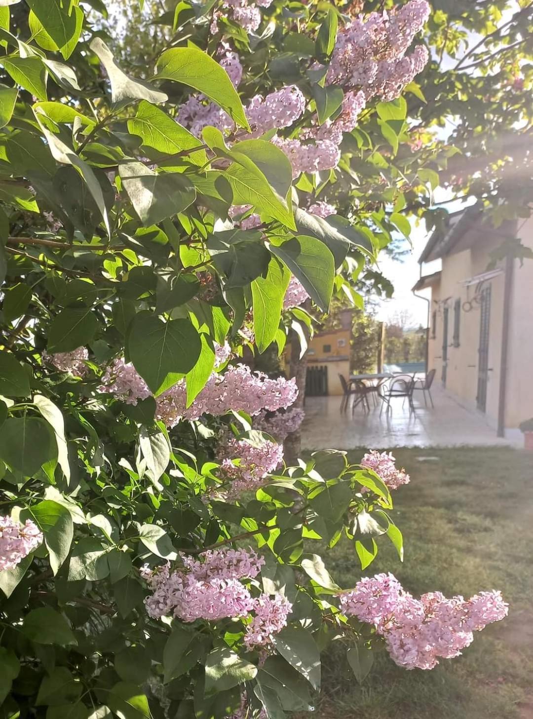 Vila La Casa Di Tommy Cortona Exteriér fotografie